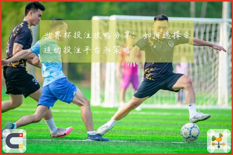 世界杯投注攻略分享：如何选择合适的投注平台和策略