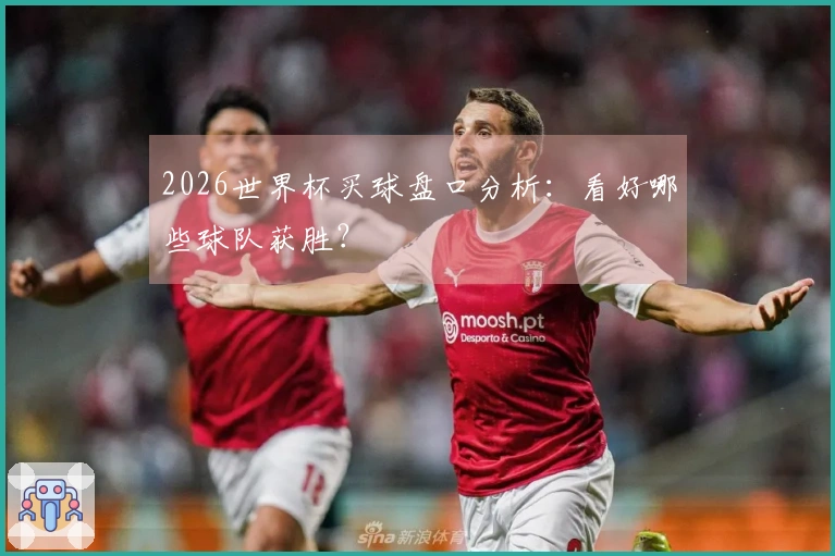 2026世界杯买球盘口分析：看好哪些球队获胜？